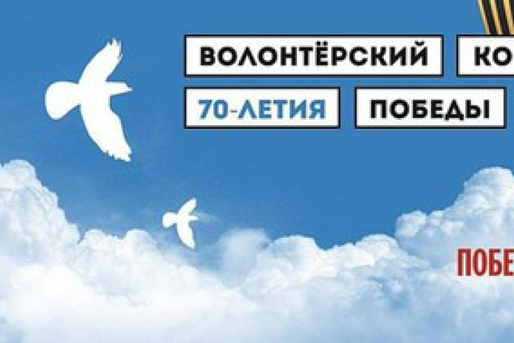 Трехдневный итоговый слет Всероссийского волонтерского корпуса Ленинградской области начнется 9 декабря