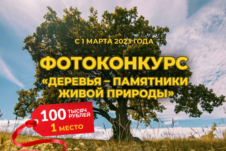 Всероссийский фотоконкурс «Деревья – памятники живой природы»